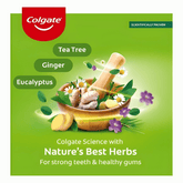 Colgate Herbal Anticavity Toothpaste, 200 grams